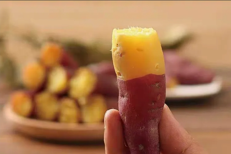 智能甘薯糖化愈合庫(kù)，紅薯存儲(chǔ)新變革