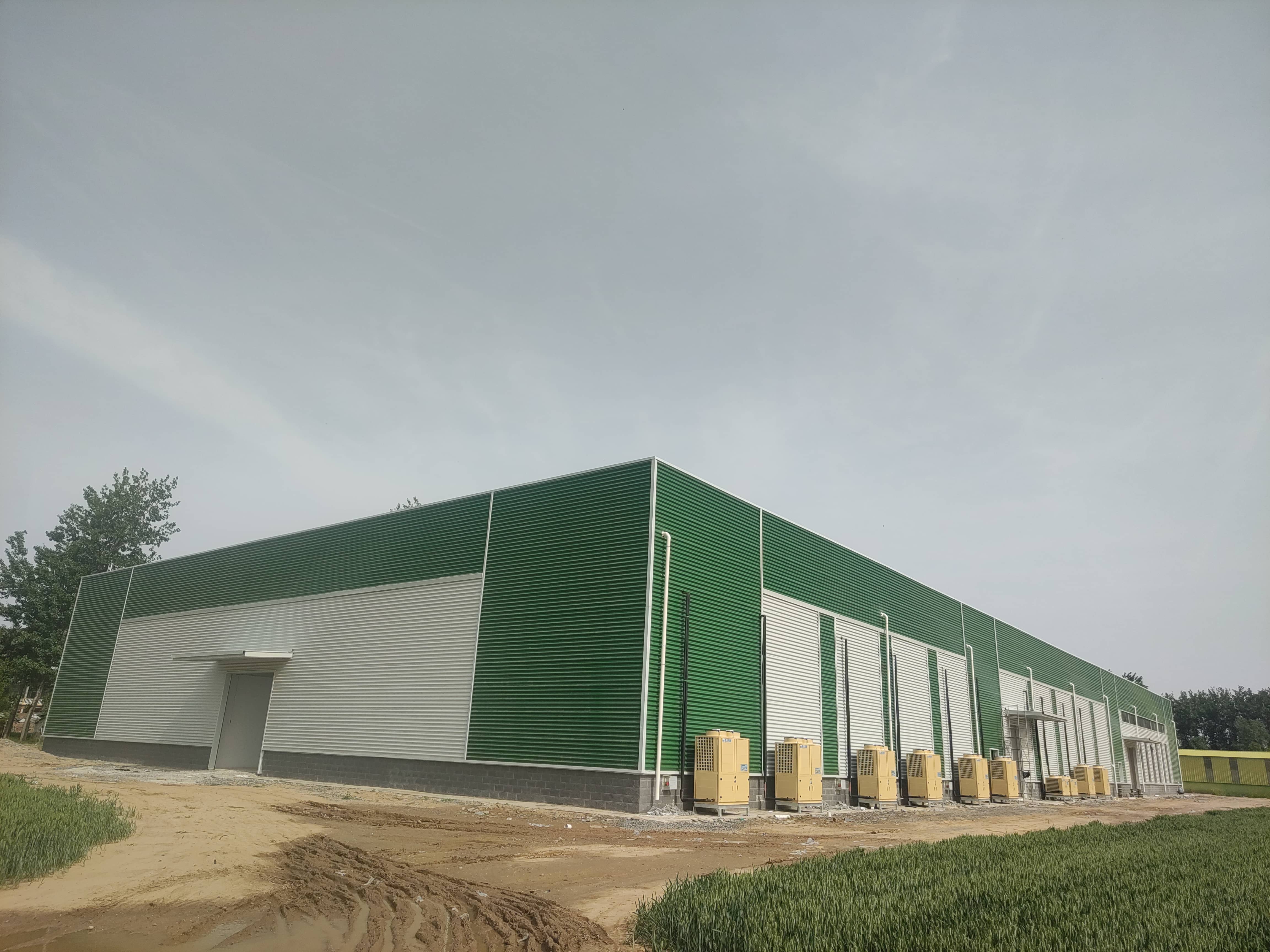 開封智能甘薯糖化愈合庫